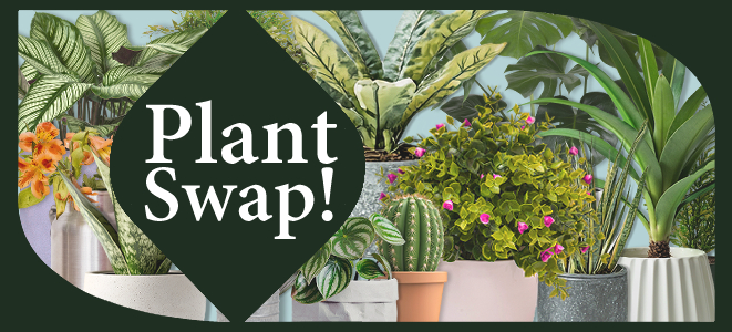 Plant swap