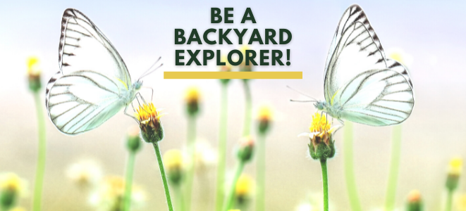 Be a Backyard Explorer!