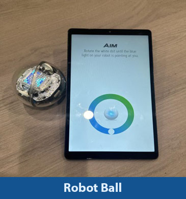 Robot Ball